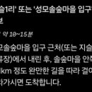 지슬1리 네이버블로그