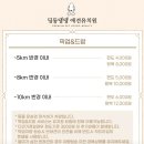딩동댕댕 애견유치원 이미지