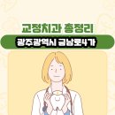 로머스치과의원 | 광주광역시 금남로4가 교정치과 총정리