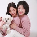 스튜디오남는