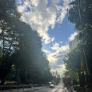 강서구민회관 주차장 | 서울 어린이뮤지컬 알라딘 요술램프 - 아이어른 모두 즐기는 뮤지컬 (예약팁, 강서구민회관 주차, 후기)