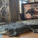 엉클슈즈 이미지