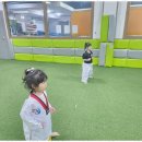 신동태권도 | 호평동유치원 아이들의 행복한 여름, 호평 신동 태권도에서 함께해요