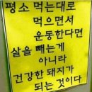 챔피언점핑다이어트