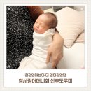친정엄마 같았던 산후도우미 참사랑어머니회 남인천지점 산후도우미 이용 후기