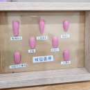 끌밋네일 이미지