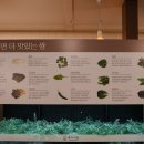 돈쌈 삼겹살 식당 이미지