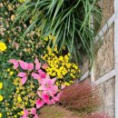 감고당길 이미지