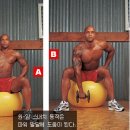 엑서사이즈 이미지