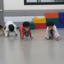 한울림 태권도장 이미지