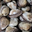 벌교택배 이미지