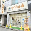 댕댕파티 | 청주 강아지 수제케이크 댕댕마을 후기