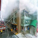 평화제일 이미지