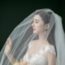 썸바디스튜디오 이미지