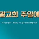 검배로136번길 네이버블로그