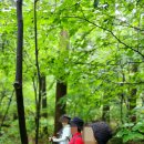 푸른숲요양병원 이미지