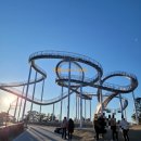 강구 산 아구 이미지