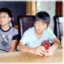 너구리의 피난처 이미지