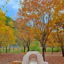 영월약수터 오토캠핑장 이미지