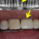 연세마스터치과의원 이미지