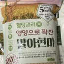 주식회사 생명나무