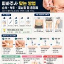 성심메디칼 | 💉 피하주사 맞는 방법 총정리 (지방을 두껍게 잡고 맞아도 됨?) (센트비 추천인 : M9V4XL)