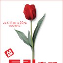 2025 섬 튤립축제 이미지
