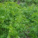 황정농장 이미지