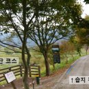 침실습지 화장실 이미지