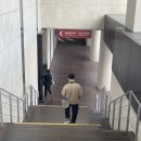 신난다 난타 | [제 14회 이데일리 W페스타]: 행사 현장 후기