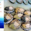 전복만세 이미지