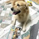 견생냥품 무인24 천안에듀시티점 | 천안 견생냥품ㅣ무인24시 반려동물용품점