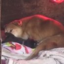 호화농장 이미지