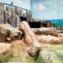 광주광역시 우치동물원 동물병원 이미지