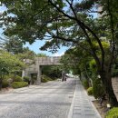 &lt;반얀트리 서울&gt; 그랜드 프리미어 풀 스위트 남산뷰 내돈내산 대만족 후기