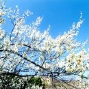 서동민박 이미지