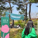 인형극축제 - 만들기 체험 | 평택 가볼만한 곳 축제 평택 꽃나들이 평택시농업생태원 다녀왔어요