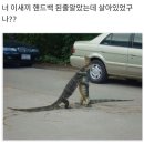 반갑다친구야 이미지
