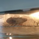 메디하임 이미지