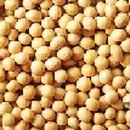 MH휘트니스 이미지