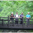 나드리야영장 이미지