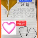 【손자가 표현한 ‘낙엽’과 ‘사랑’의 시】 자신의 ‘낙엽’을 보는 ‘나무’ 이미지