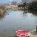 산북건강원 이미지