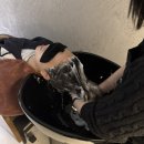 감동카 크리닉 | 정자동미용실 비롬헤어, 손상된 헤어를 케어해줄수 있는 카나토케어 후기