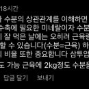 인바디대구 이미지