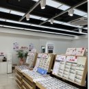 지니스안경 소담동주민센터앞점 이미지