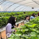 서벽초등학교 이미지