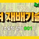 [수도작 1편] 벼 재배 기술 기초 강의 '품종' 누보농장 구독자 2.75만명 이미지