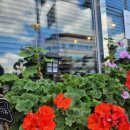 도가네칼국수 이미지