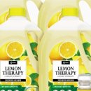 레몬세탁 이미지